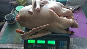 Тушка гуся породы МАМУТ