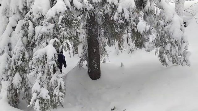 Дорога в КАМЕННЫЙ ГОРОД. ПЕРМЬ. УСЬВА. УРАЛ. ПЕРМСКИЙ КРАЙ. ЗИМА в ПЕРМИ. СНЕЖНЫЙ СКАЗОЧНЫЙ ЛЕС.