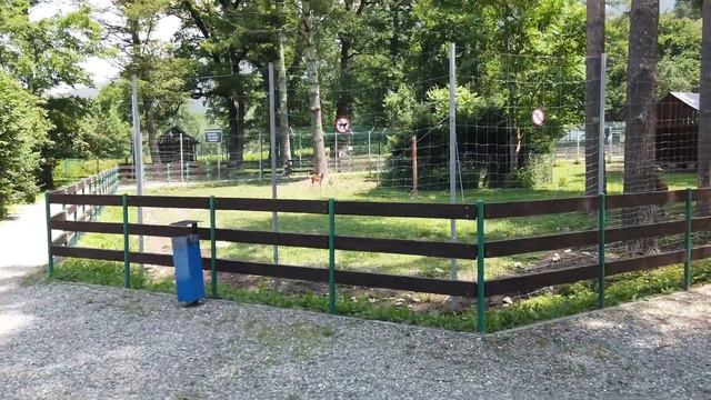 Посещаем Кавказский заповедник Большой дольмен 2021 смотреть онлайн