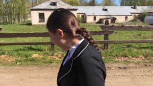 Коноблог/ Старт по конкуру/ упало дерево?😱