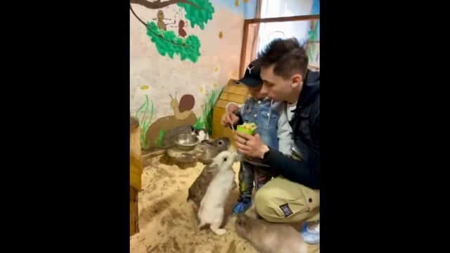 Мишутка и кролики. Mishutka and rabbits смотреть онлайн