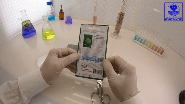 Капуста белокочанная Машенька. СеДеК смотреть онлайн