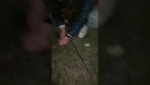 Рыбалка в Астраханской области, город Харабали на реке Ашулук.
