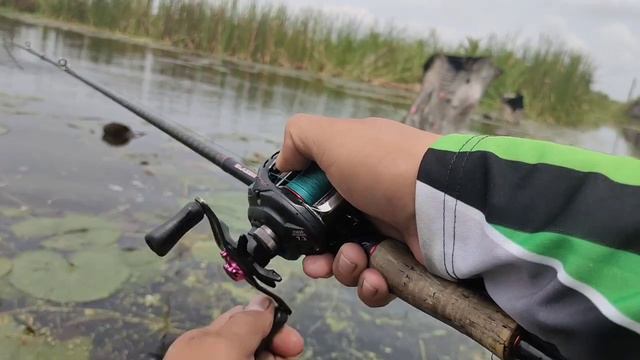 Toman Fishing Philippines