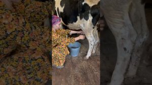 Kelin hayoti 17-qism / Келин хаёти 17-кисм