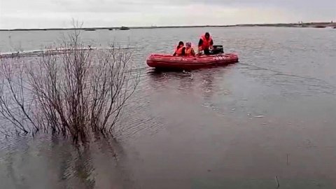 В Абатском районе Тюменской области пик половодья ожидается сегодня