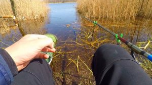 Рыбалка на манку в шприце. Красивое озеро, еда на костре.