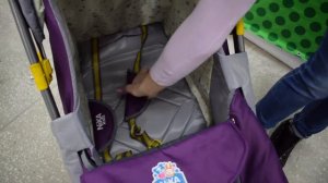 Санки-коляска Nika Ника Детям 4