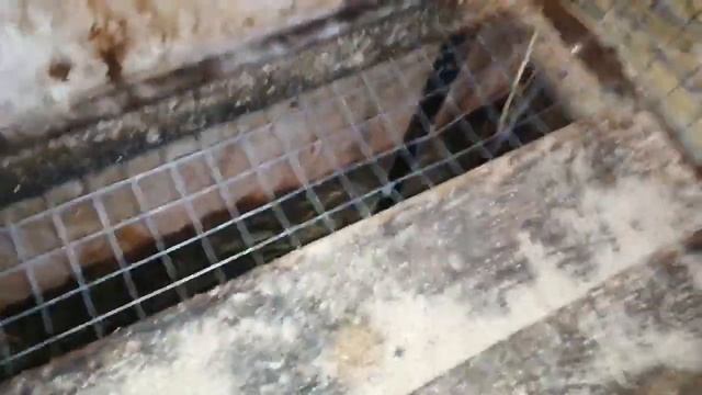 СОДЕРЖАНИЕ КРОЛИКОВ / ПОЛЫ В КЛЕТКАХ