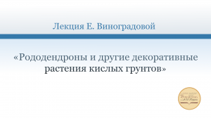 Лекция Елены Виноградовой «Рододендроны и другие декоративные растения кислых грунтов»