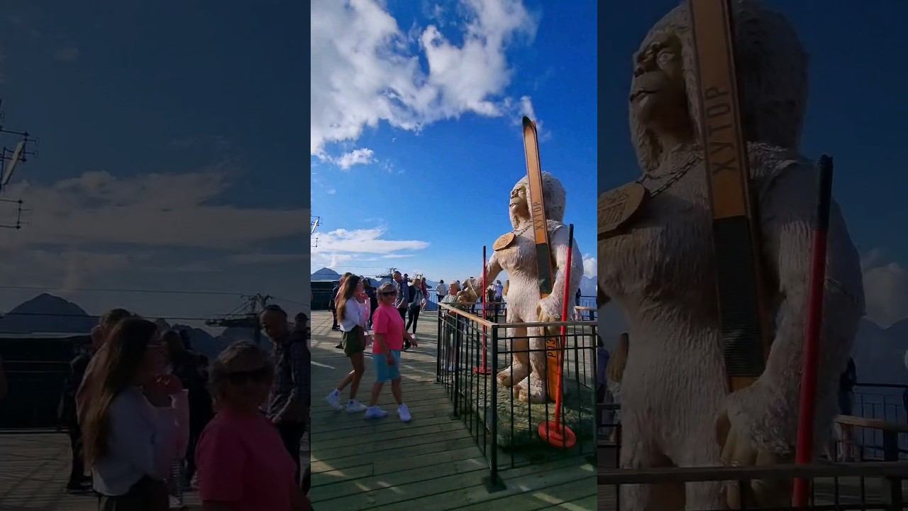 Аншлаг на Красной Поляне