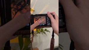 Краткий обзор камеры Sony ZV-E10