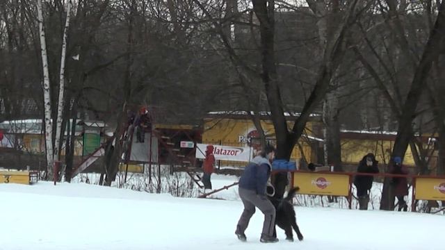 Барон задержание. Стенка-на-Стенку 06.02.2016 смотреть онлайн