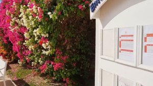 ПОЛНЫЙ ОБЗОР ОТЕЛЯ DESERT ROSE 5* ХУРГАДА?НОРМАЛЬНЫЙ ОТЕЛЬ ЗА СВОИ ДЕНЬГИ?