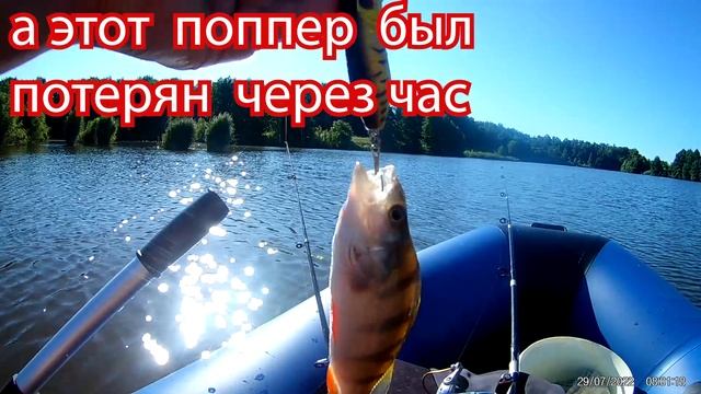 ОКУНИ УСЛАНСКОГО ПРУДА НА ПОППЕР. смотреть онлайн