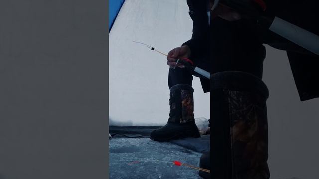 Рыбалка на Самаркандском водохранилище в середине марта. Караганда-Темиртау смотреть онлайн