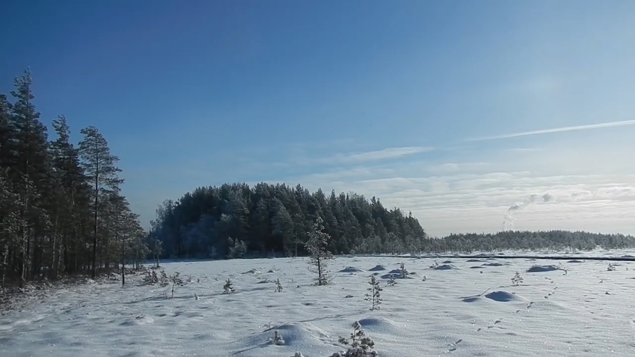 Сестрорецкое болото