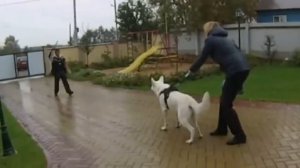 Охрана дома БШО Стайл