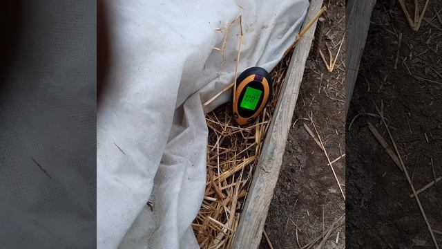 Виноград в Приморском Крае! Сегодня 16.04.2023г и ещё не надо открывать Виноград ? смотреть онлайн