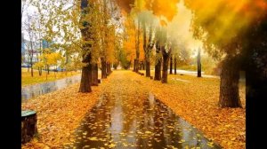 Тополя, тополя, тополя    -  пение