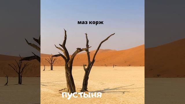 Пустыня