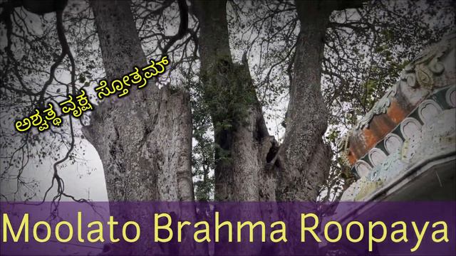 Moolato Brahma Roopaya | Ashwatta Vruksha Stotram смотреть онлайн