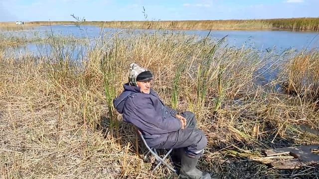 КИЛОГРАММОВЫЕ ЗАБАБАХИ НА ЛЕТНЮЮ УДОЧКУ НА ЧЕРВЯ! РЫБАЛКА НА КАРАСЯ НА ЗАРОСШЕМ КАМЫШОМ ОЗЕРЕ! смотреть онлайн