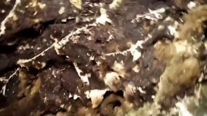 ВИДЕО ИЗ ДРЕВНИХ ПЕЩЕР!!!