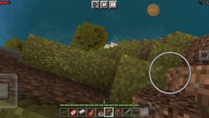 выживаю в Майнкрафт кормлю панды//Minecraft