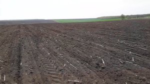 Посев подсолнечника Евролайтинг