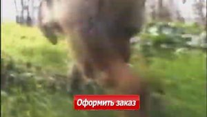 Роял канин сытный и полезный корм для собак Royal Canin породы немецкая овчарка