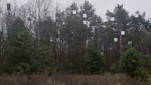 9 января праздник Стефанов день. Народные приметы и традиции. Запреты дня. Именинники дня.