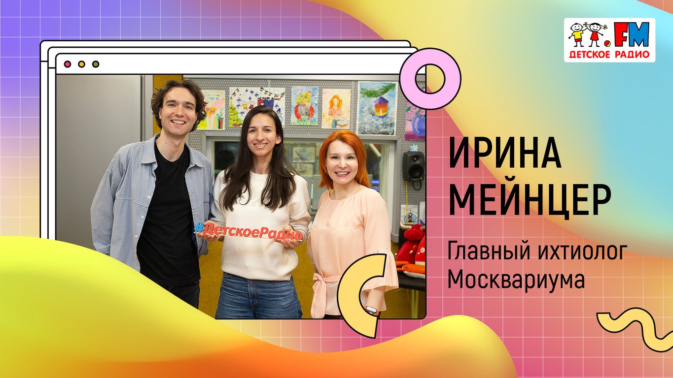 Как водолазы кормят акул? | «Развивайка»