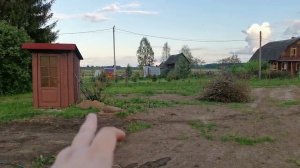 Дачные движения 2023. Посадил иву, порезал старые кусты. планы на лето