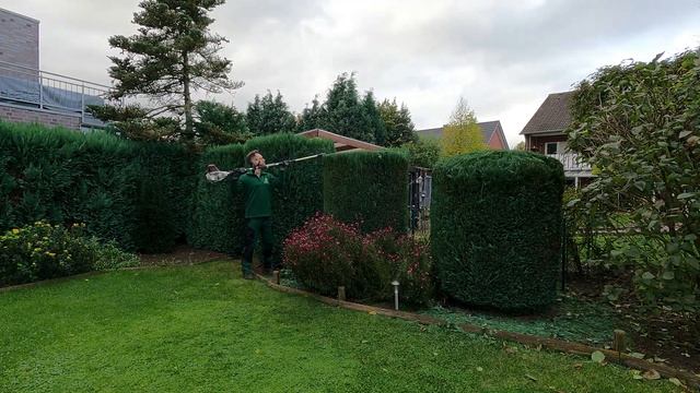 Kustorez. Juniperus Blue Arrow Trimming смотреть онлайн