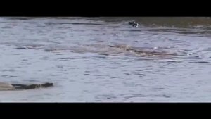 КРОКОДИЛ ПРОТИВ анаконды, льва, слона, ягуара! ВЕРСУС крокодила!