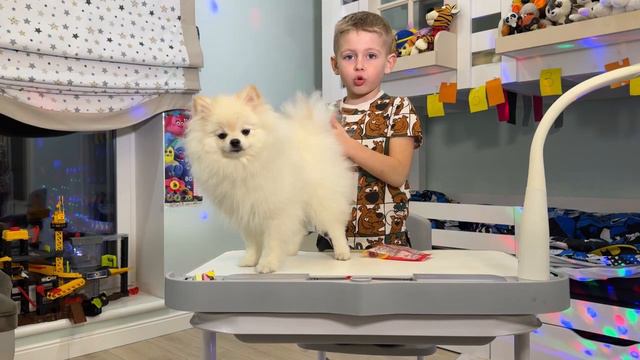 Детский блог Леван . Первый опыт сьемки ,Левану 4 года и он захотел снять видео со своей собакой смотреть онлайн