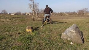 Мотоблок Зубр (ZUBR) VS пень