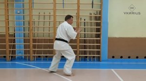 3 основных вида перемещений в Ояма-каратэ | Онлайн-школа боевых искусств вячеслава Кариуса