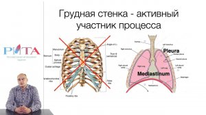 РИТА Модули | Функциональные респираторные тесты (часть 1)