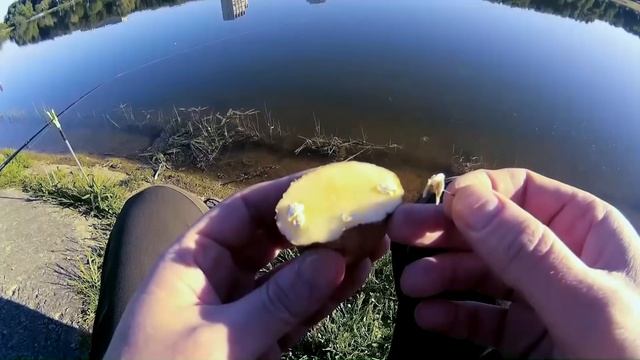 Как насадить на крючок перловку, картошку, бойлы, геркулес. смотреть онлайн