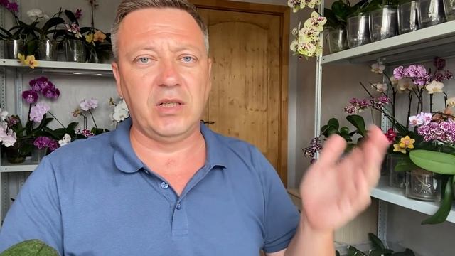 губит ОРХИДЕИ МАКСИМ сжигает корни орхидей и листья
