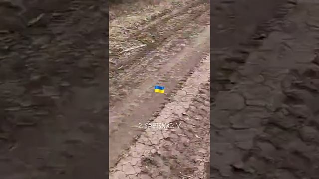 украине пришло новое западное вооружение!!!#shorts