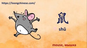 宠物. Pets in Chinese. Домашние животные по-китайски. Видео-словарь.