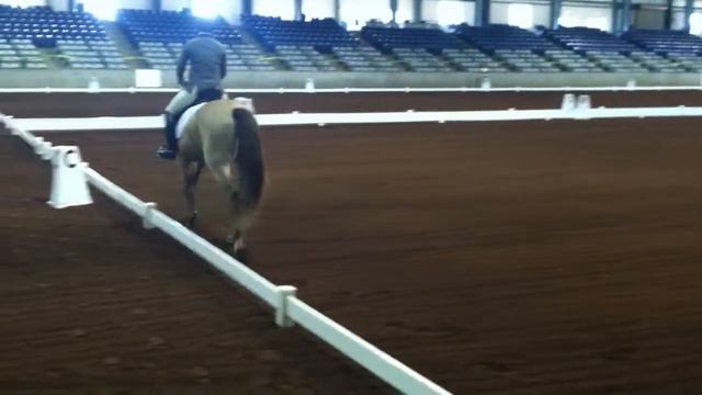 Magon at Ole South Dressage смотреть онлайн