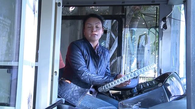 Портрет: Водитель троллейбуса №7 Чолпон Нурманбетова смотреть онлайн