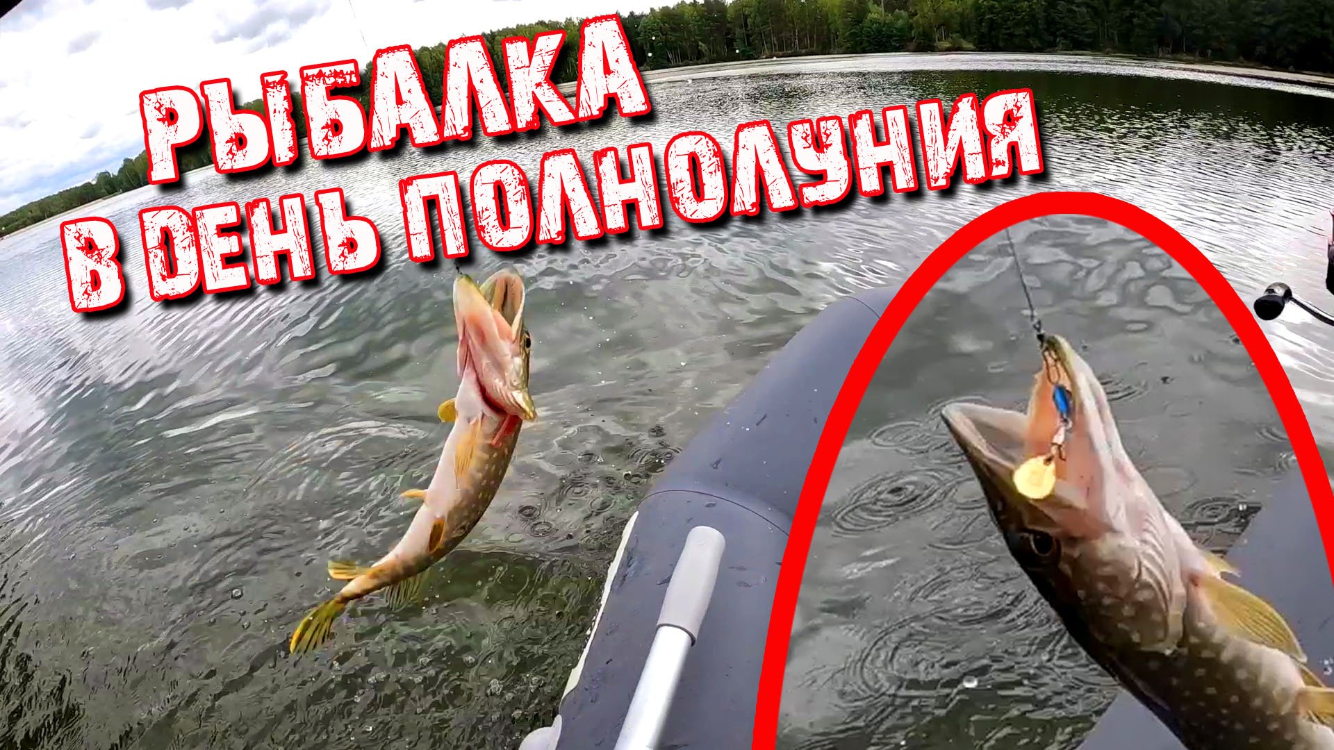 Рыбалка в полнолуние с лодки ПВХ. Щука на блесны вертушка и спиннер. Спиннинг KINGFISHER KAIDA 5-20.