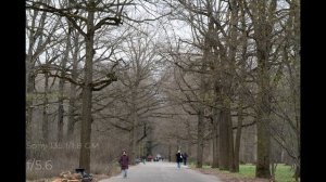 ПОРТРЕНЫЙ МОНСТР - Sony 135mm f/1.8 GM