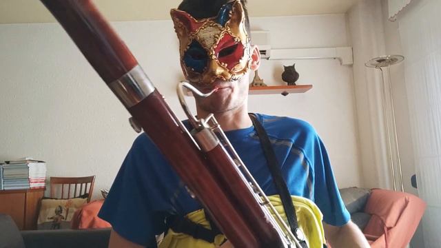 Political Compass quadrant songs but they're bassoon covers. смотреть онлайн