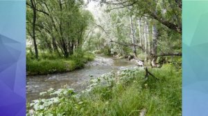 Усть-Калманский район Алтайского края